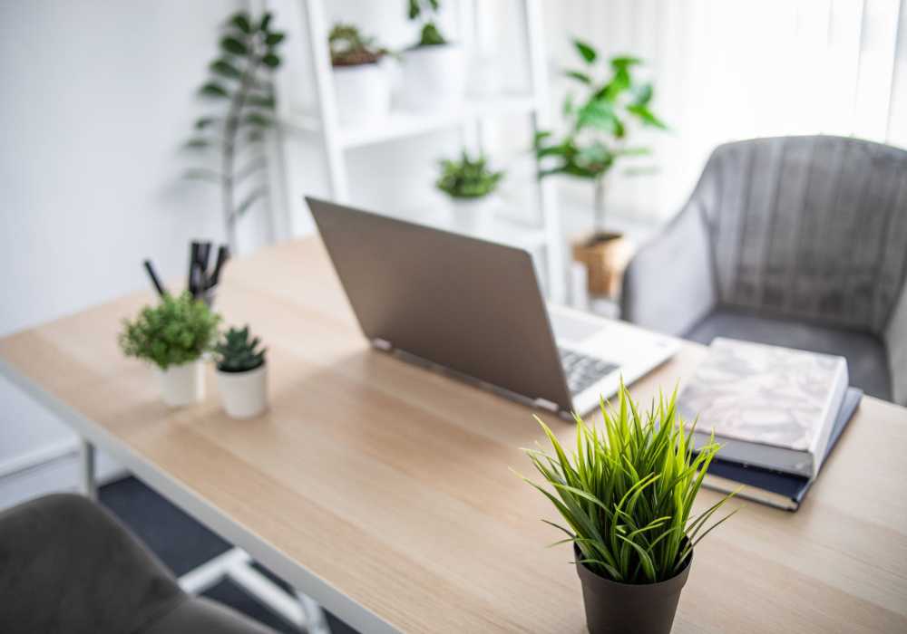 Computer and plants at Center Pointe in Greensboro, North Carolina
