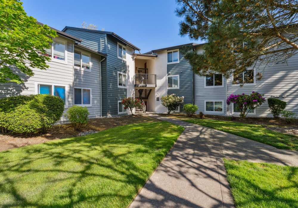 Spacious and grassy area with well-maintained sidewalks to Madison Sammamish Apartments in Sammamish, Washington