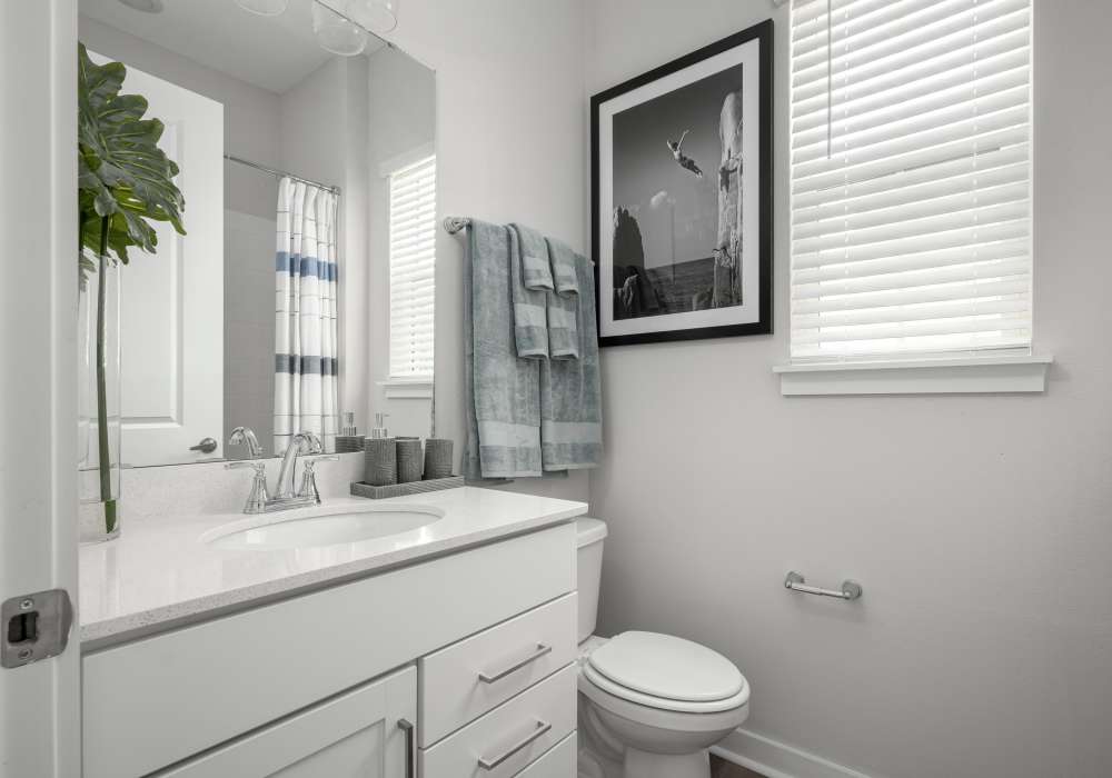 Bathroom with large vanity in a model home at Cottage Street at eTown in Jacksonville, Florida