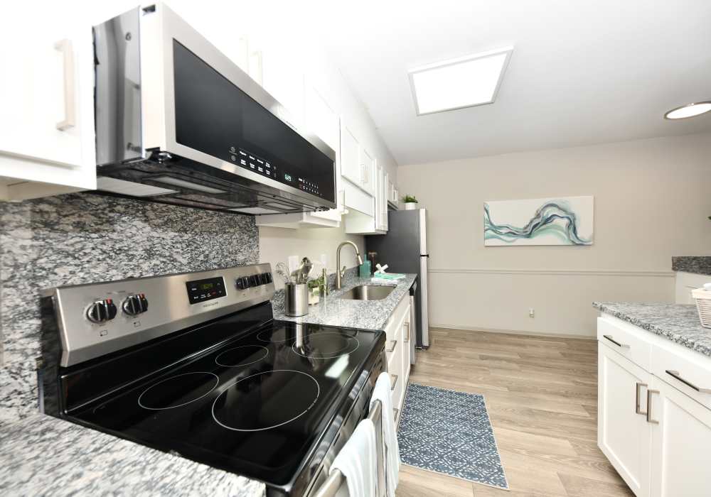 Granite countertops and stainless-steel appliances in an apartment kitchen at Ascent Apartment Homes in Asheville, North Carolina