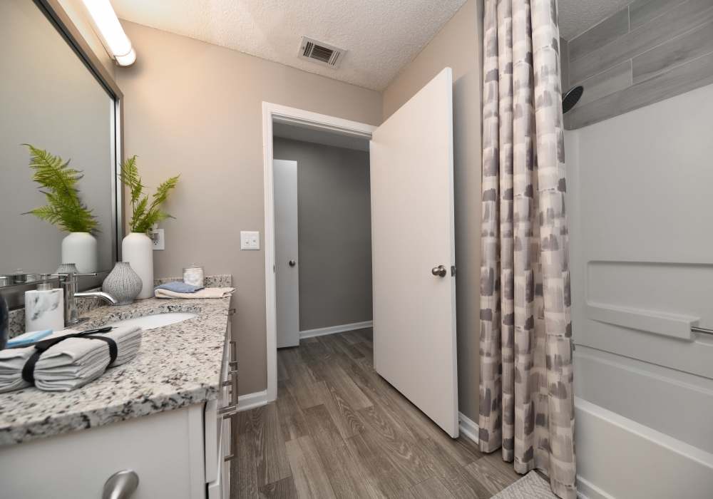 Modern bathroom with bathtub and vanity at Nova at Biltmore Park in Arden, North Carolina