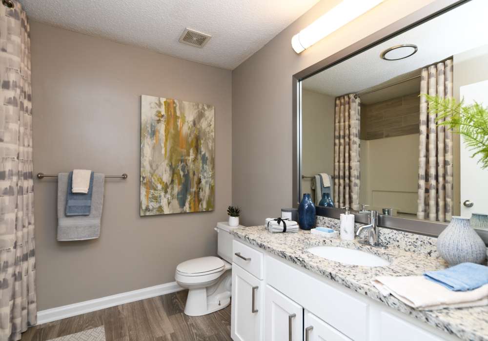 Luxurious bathroom with large vanity at Nova at Biltmore Park in Arden, North Carolina