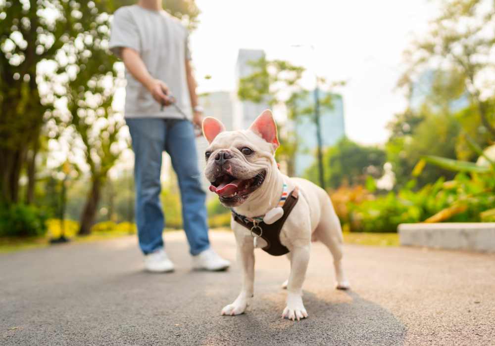 Cute resident posing for a picture with his pet at Zinc 1501 in Sacramento, California