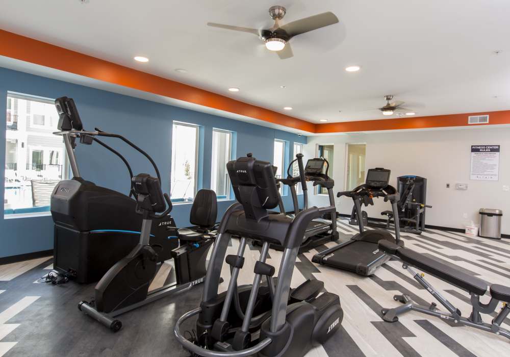 Fitness center with lots of windows at Altair At The Heights in Richmond Heights, Missouri