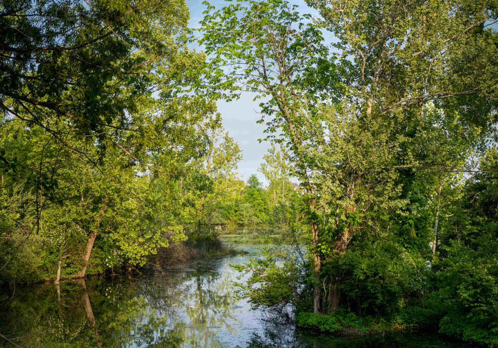 Scene of a lake view with tress at O'Fallon, Missouri near Altair At The Preserve 