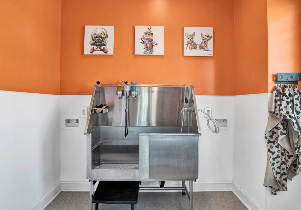 Pet spa at The Crossings At Milestone in Pensacola, Florida
