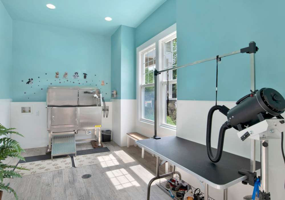 Onsite pet spa at The Crossings At Cottage Hill in Mobile, Alabama