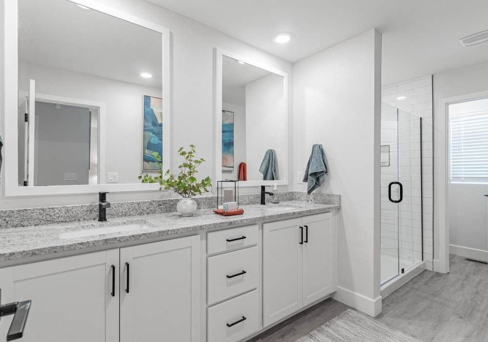 Primary bathroom featuring double vanity and walk-in shower 