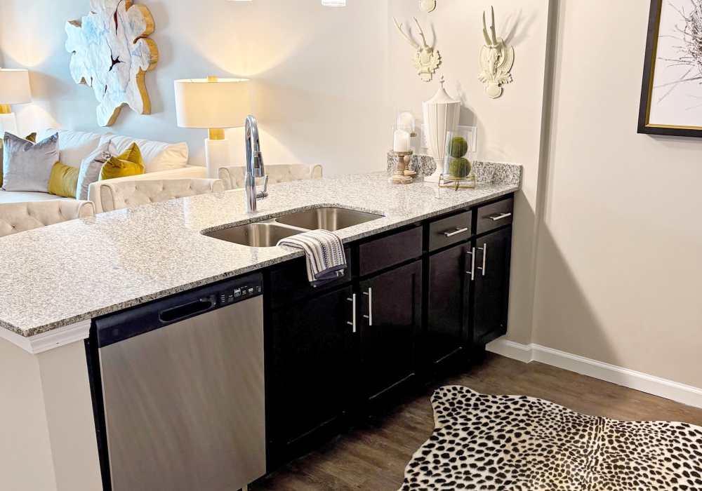 Countertop Sink in Apartment at Edenbrook Ridge in Pflugerville, Texas