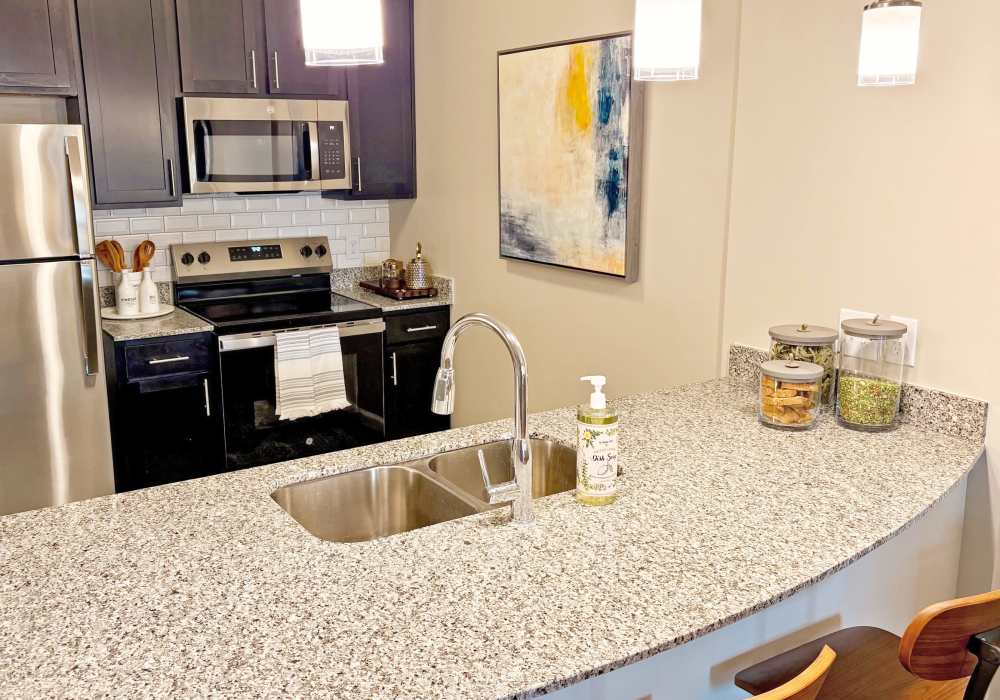 Kitchen with Countertop Sink at Edenbrook Ridge in Pflugerville, Texas