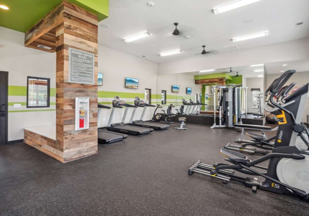 Fitness Center with Cardio Equipment at Edenbrook Ridge in Pflugerville, Texas