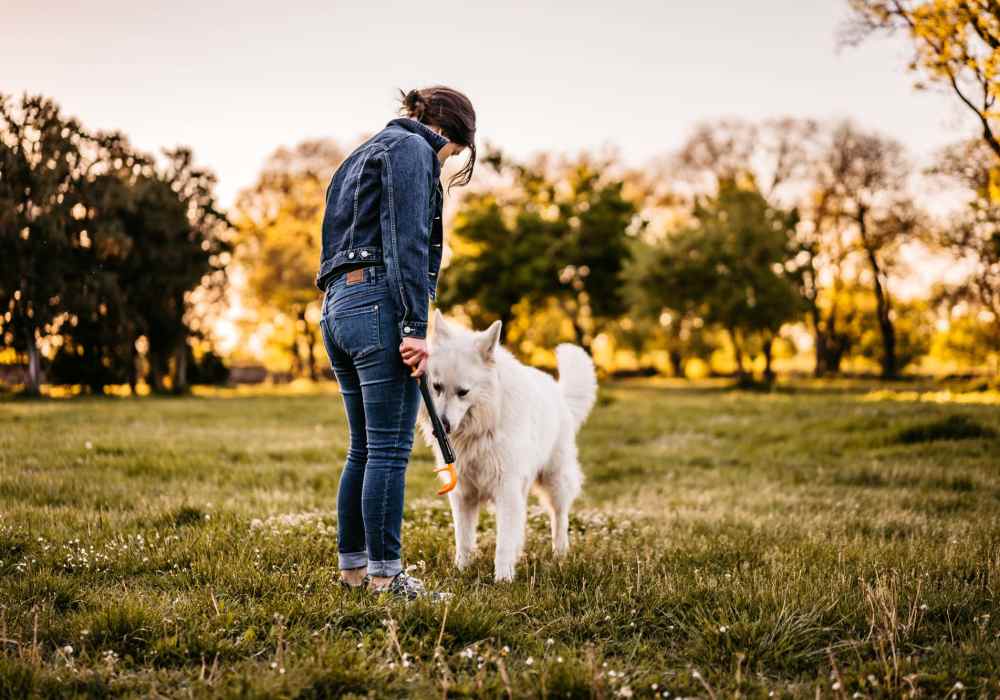 Resident woman with her pet dog at a park near Park Hacienda Apartments in Pleasanton,California