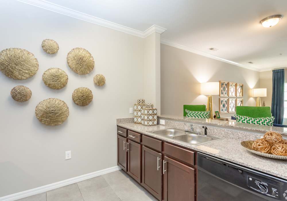 Upgraded kitchen at Village at Town Center in Raleigh, North Carolina