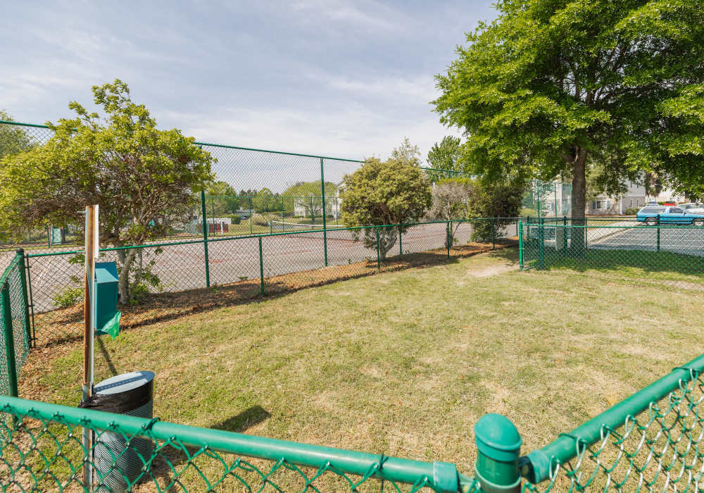 Leash free dog park at River Landing in Myrtle Beach, South Carolina