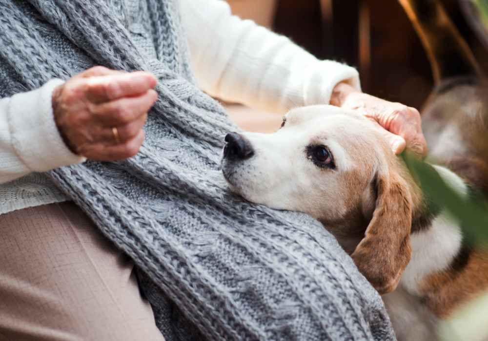 Resident with dog at Savannah House At Lawton in Lawton, Oklahoma