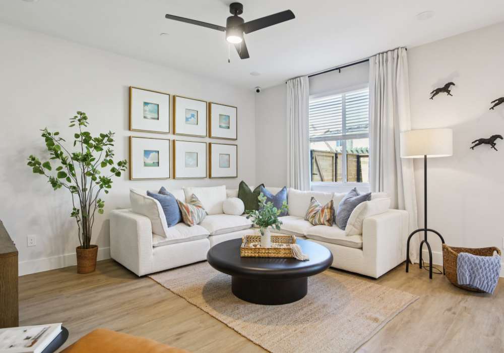 Living room with large couch and coffee table at BB Living Sweetwater Crossing in Bee Cave, Texas