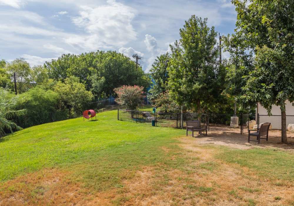 Lawn at Alcove at Alamo Heights in San Antonio, Texas