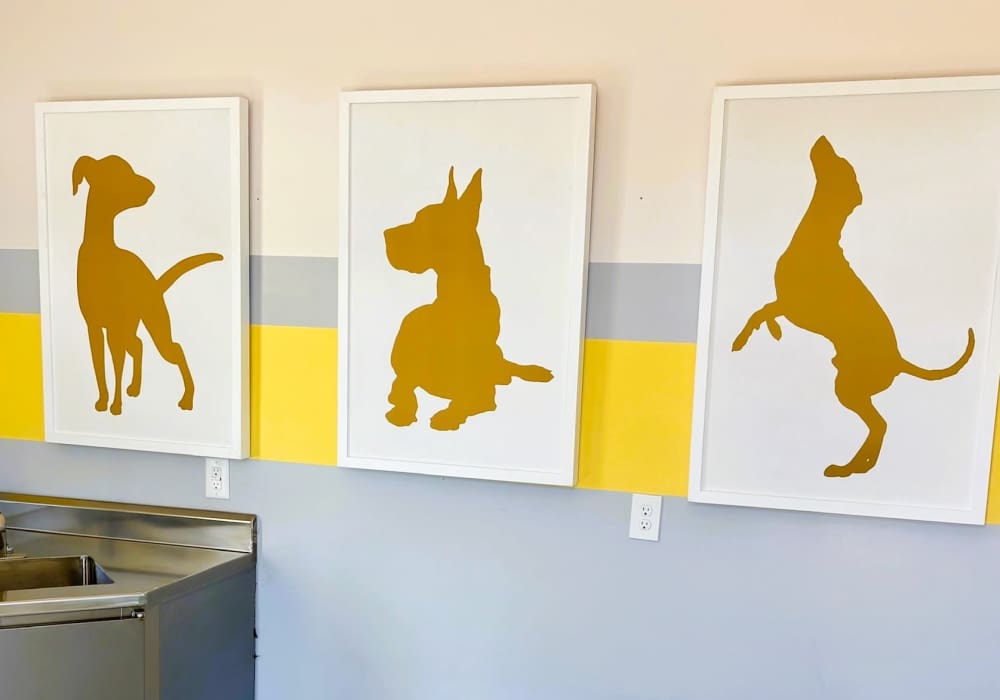 Pet wash station at Carroll at Cane Ridge Apartments in Antioch, Tennessee