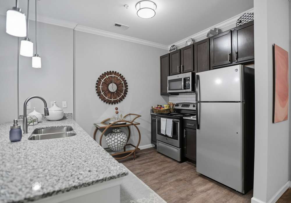 Galley style kitchen with stainless steel appliances and upgraded fixtures at Ascot Point Village in Asheville, North Carolina