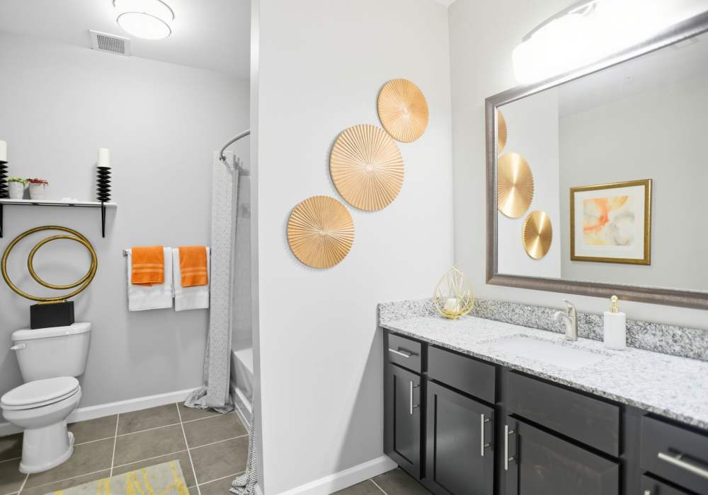 Bathroom at Ascot Point Village in Asheville, North Carolina
