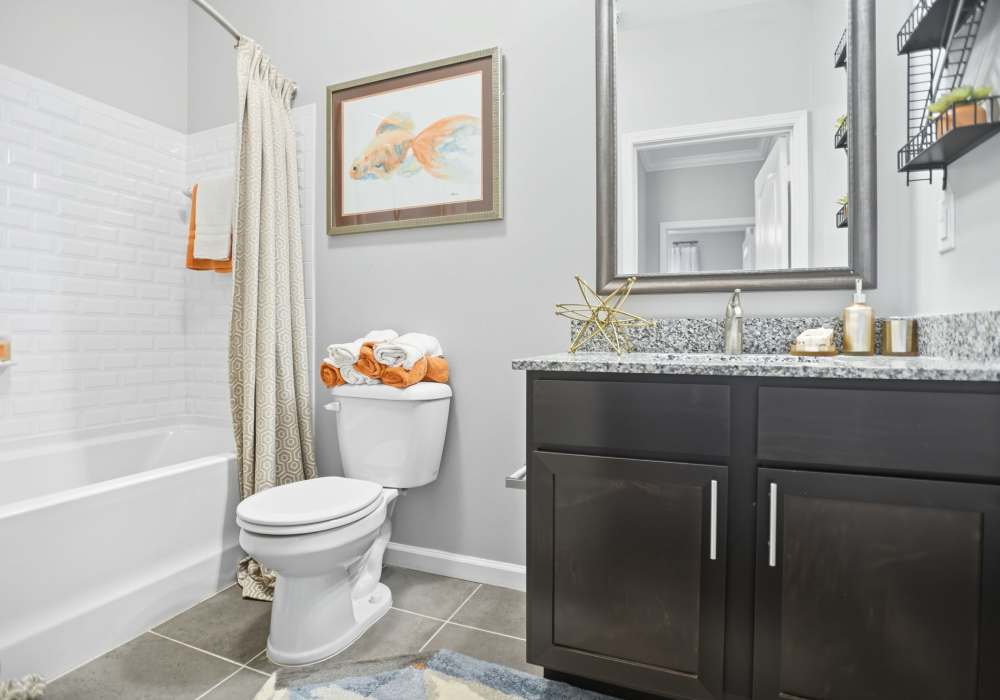 Bathroom at Ascot Point Village in Asheville, North Carolina