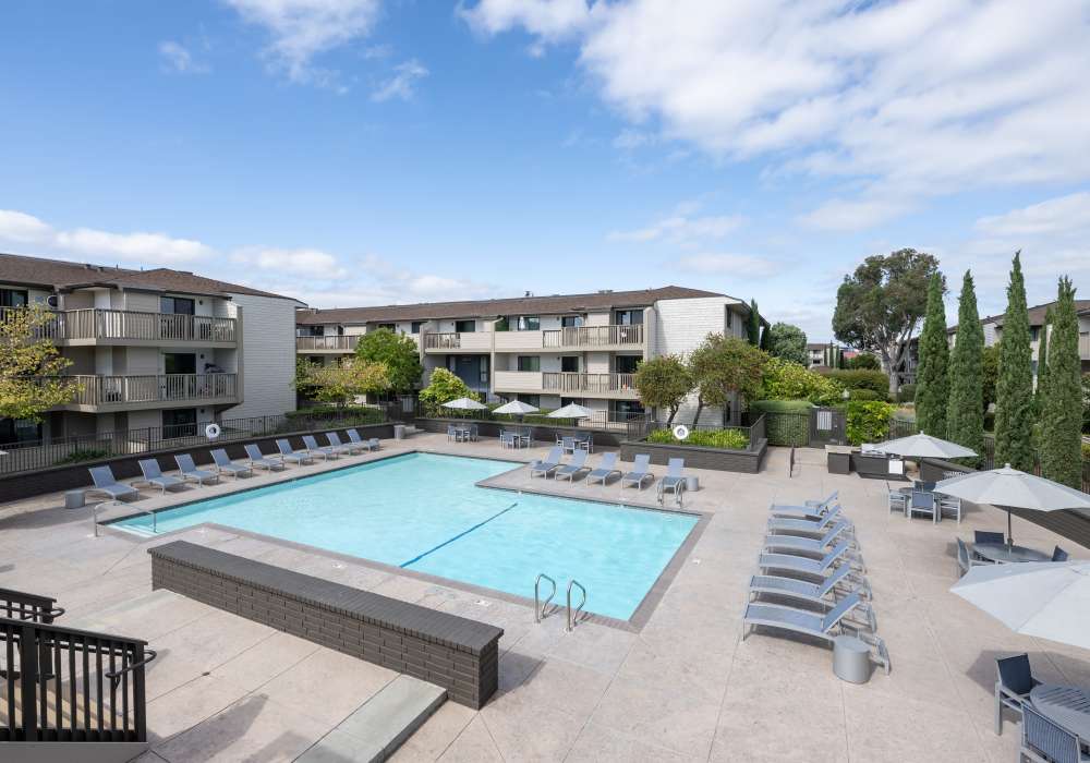 Sparkling pool surrounded by chairs at Harbor Cove Apartments in Foster City, California