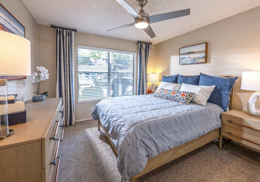 Well-lit bedroom with carpet flooring at Amber Court in Fremont, California, 