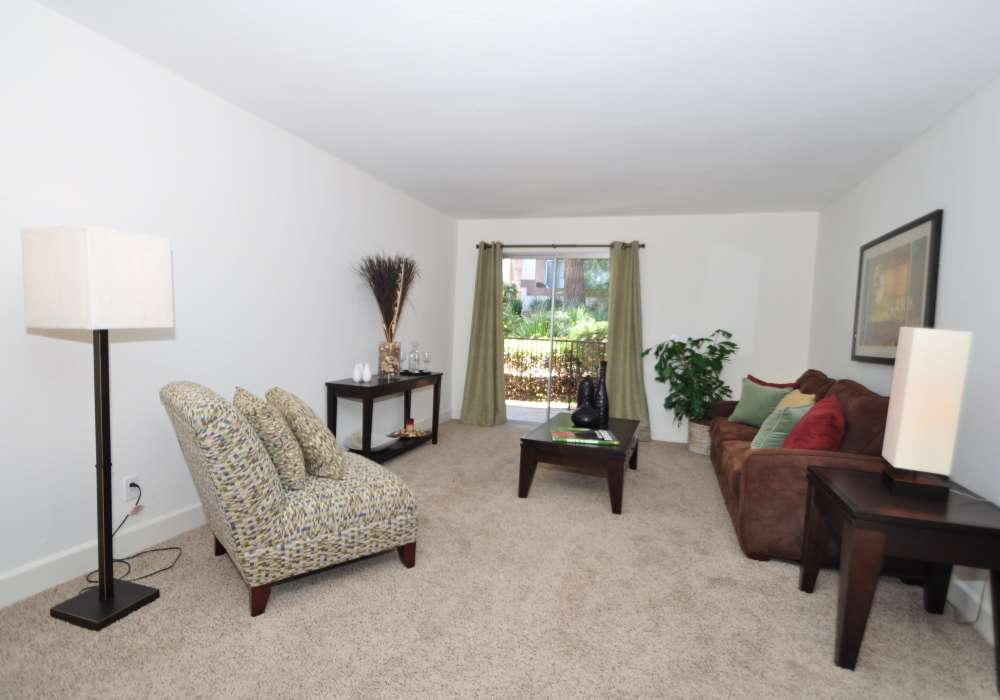 Bright and inviting living room featuring plush carpets, stylish furniture, and large windows at River Run Village in San Diego, California