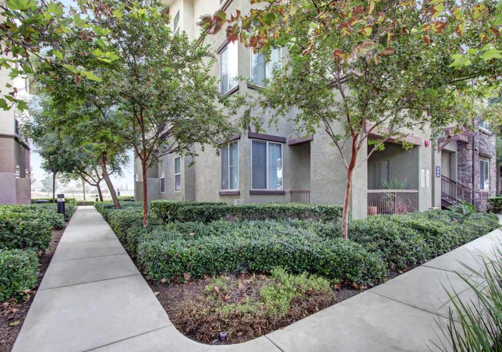 Grassy walking path with trees surrounding at Rivers Edge in Lake Elsinore, California