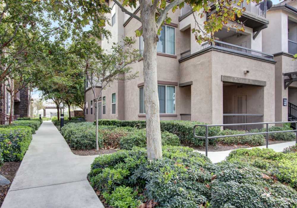 Garden-style community with a grassy walking path at Rivers Edge in Lake Elsinore, California
