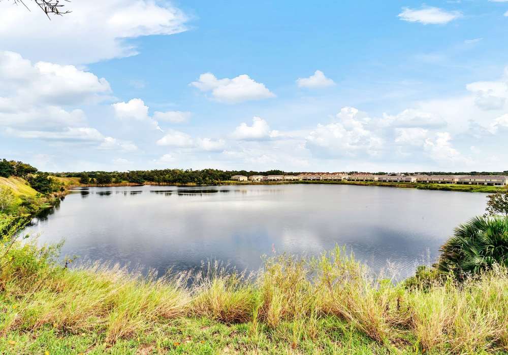 Lake view at Victoria Park Apartments in Davenport,Florida
