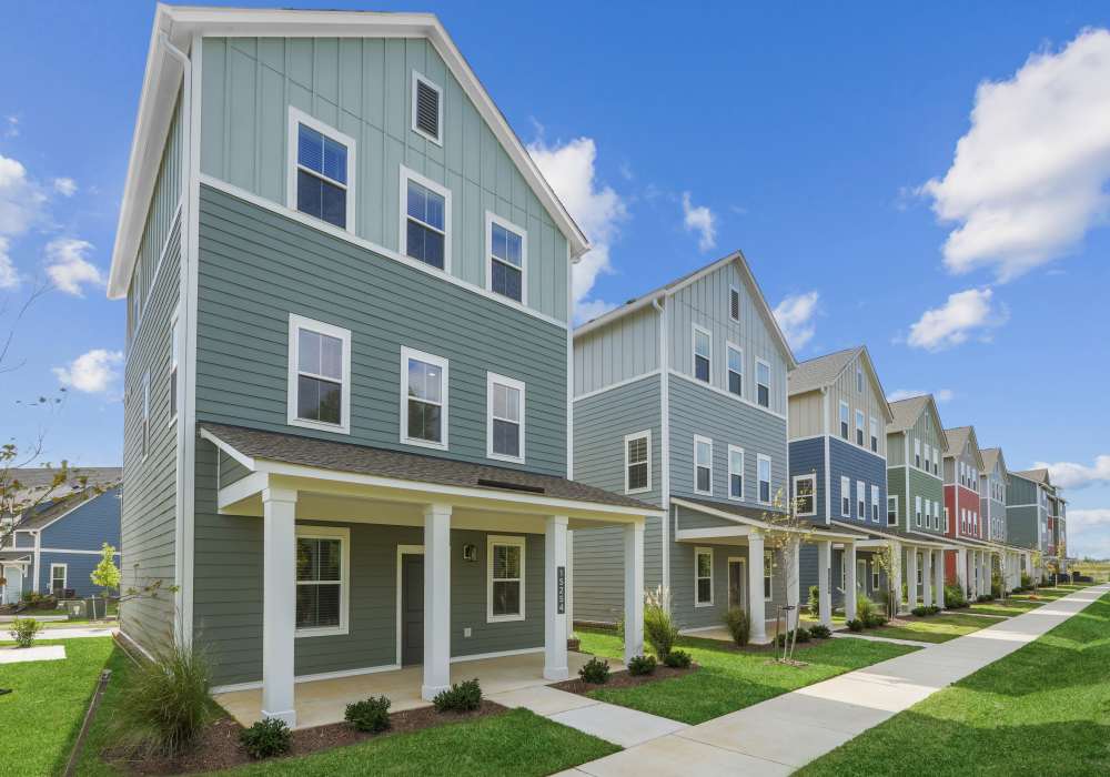 pet friendly homes for rent apartments townhomes with yard space in wesley chapel florida Hamlet at Avalon Park in Wesley Chapel, Florida