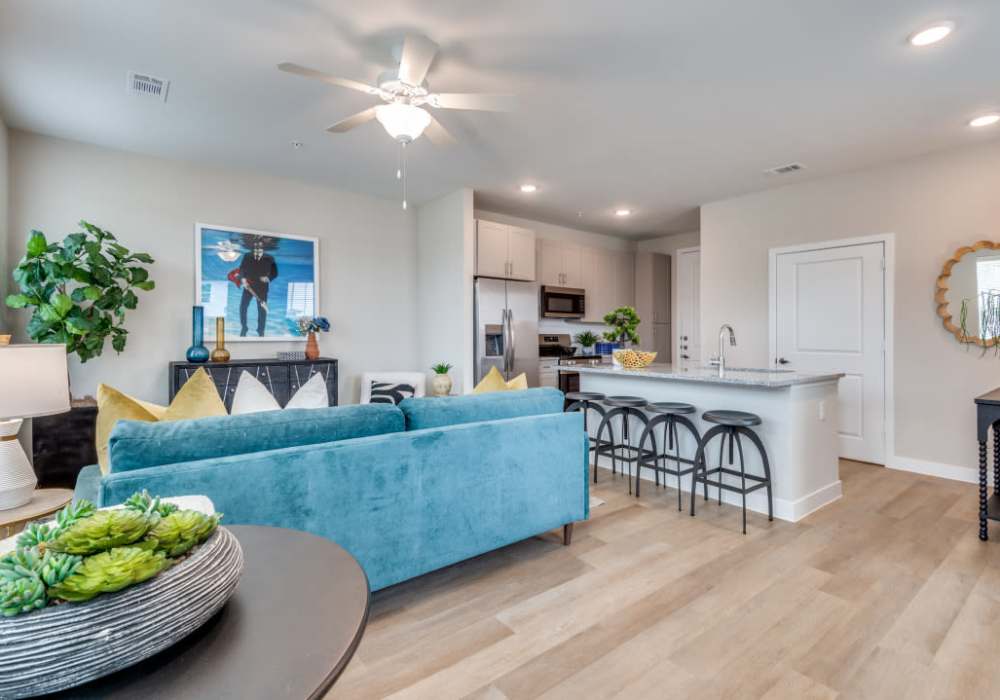 Photo of living area