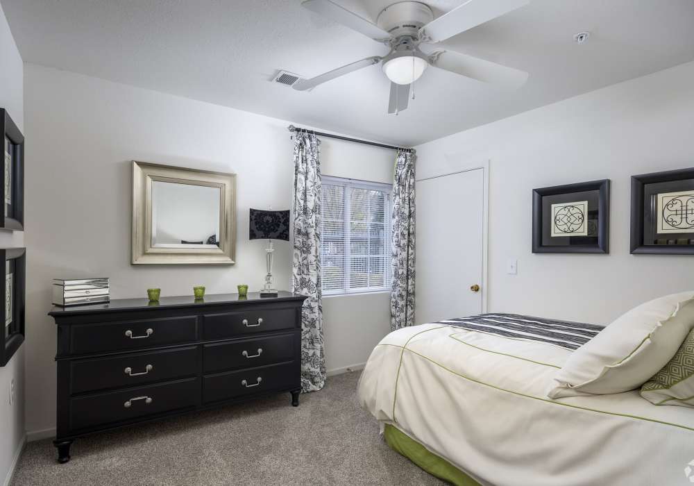 Comfortable apartments at Cedarcrest Village in Lexington, South Carolina
