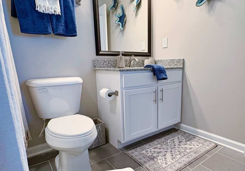 Apartment homes at Carroll at Cane Ridge Apartments in Antioch, Tennessee
