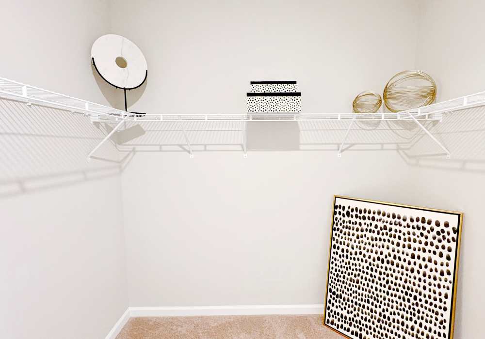 Spacious closet at Carroll at Cane Ridge Apartments in Antioch, Tennessee