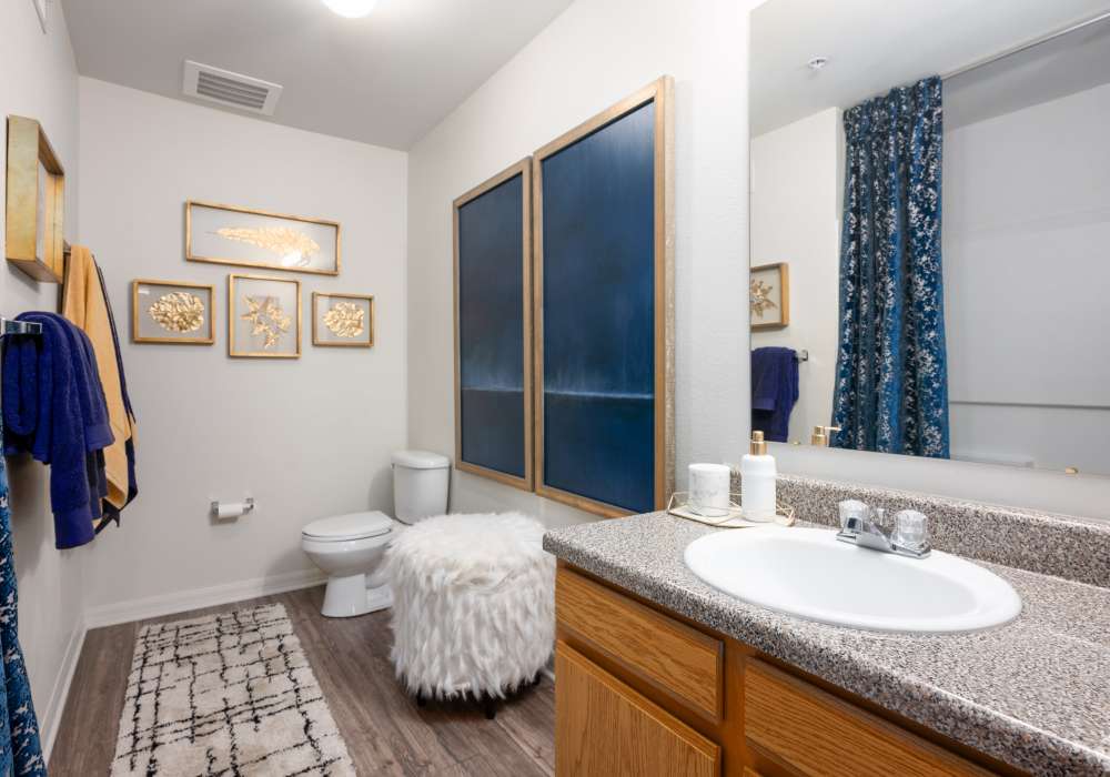 Comfortable apartments at Alaris Village in Winston Salem, North Carolina
