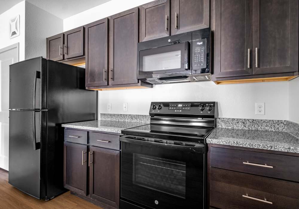 Modern kitchen with black appliances and granite countertops at Terrace at Southern Oaks in Dallas, Texas
