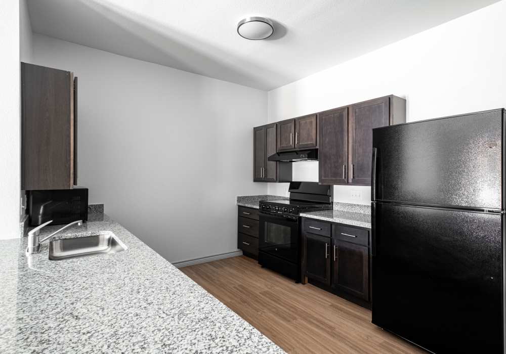 Modern kitchen with dark cabinets and stainless appliances at Terrace at Southern Oaks in Dallas, Texas