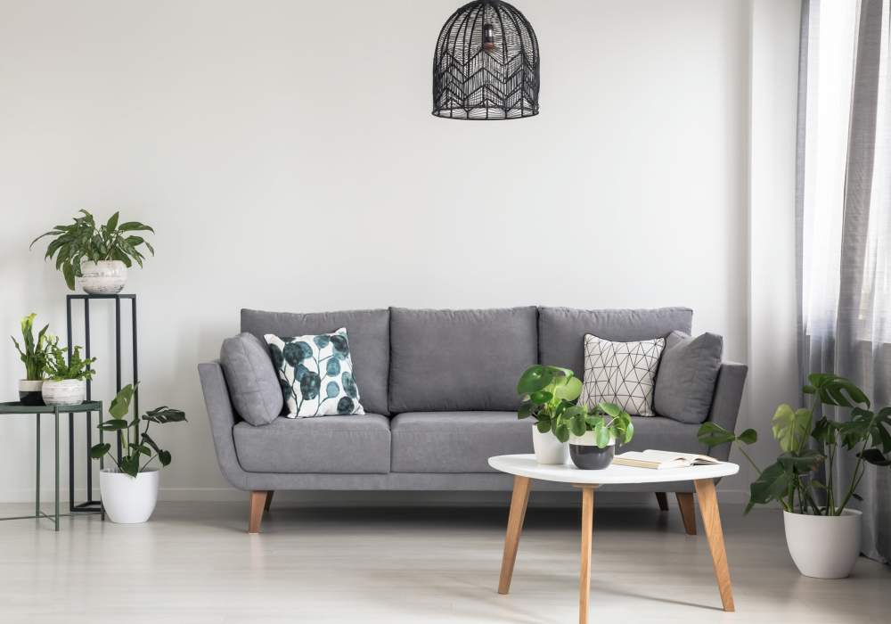 Modern living room with stylish plants and decor at Jefferson Manor Townhomes in Fairport, New York