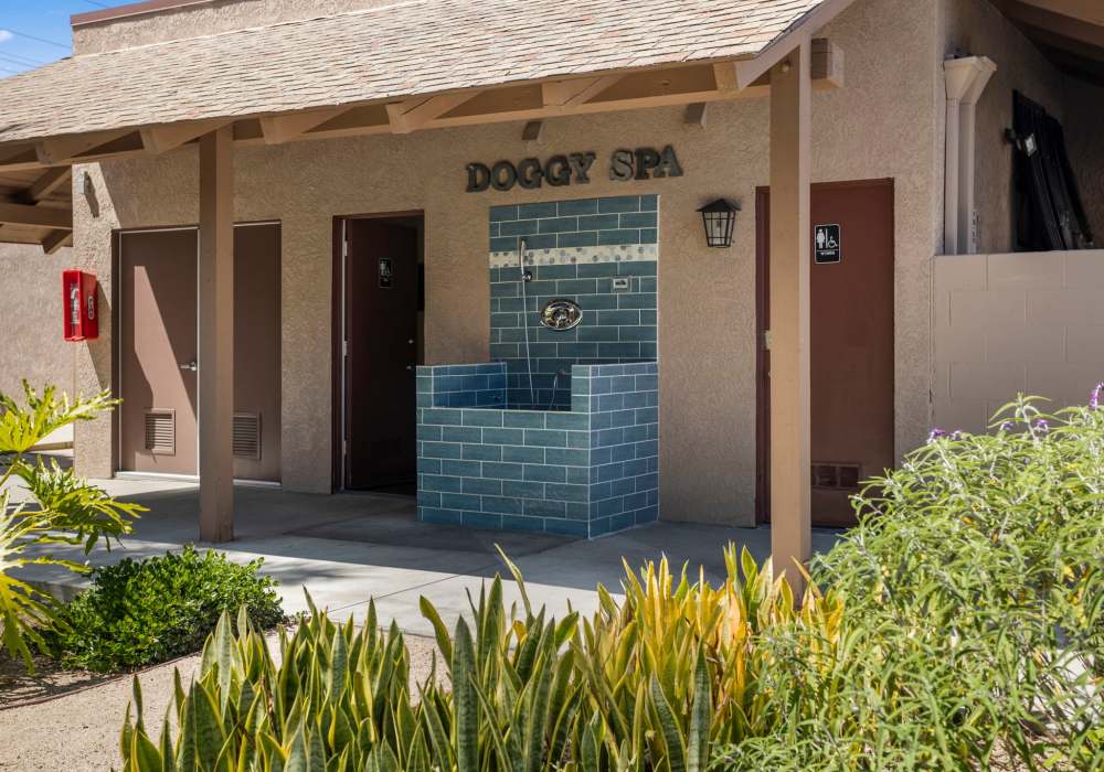 Doggy Spa at Bay Breeze Apartments in Costa Mesa, California