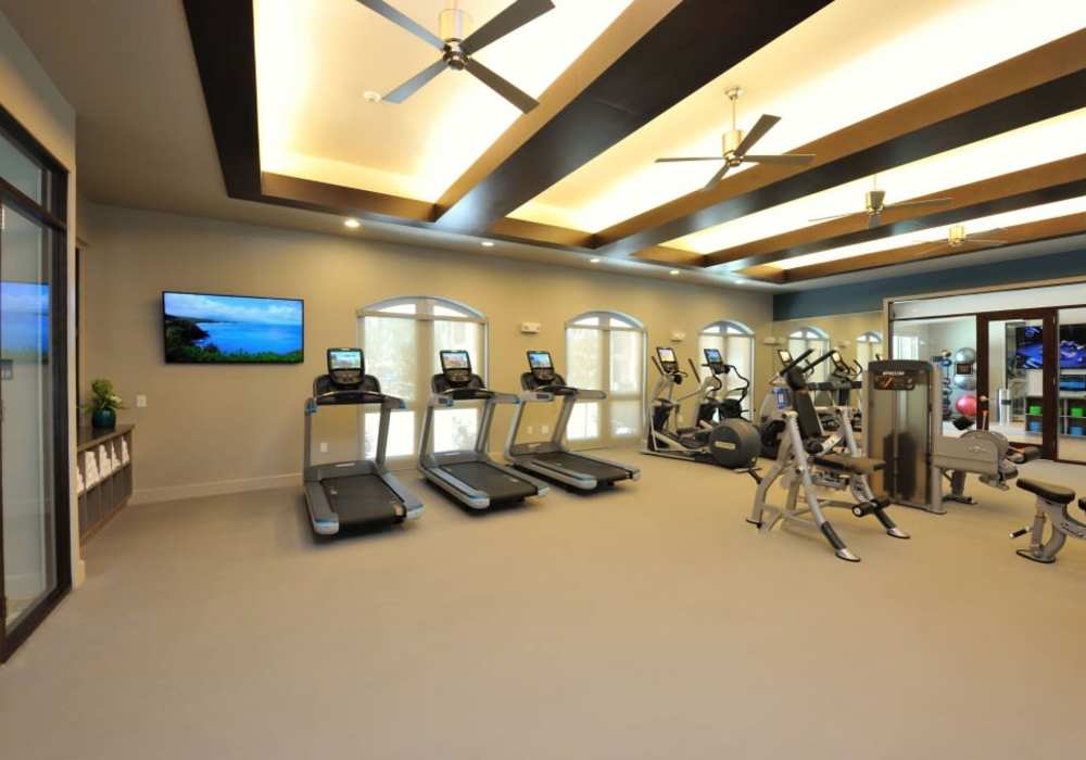 Beautiful cove lighting in gym hall at Harmony Park in Spring, Texas