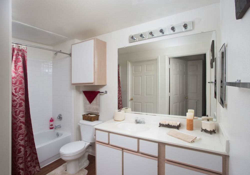 Bathroom with vanity and mirror at Reata Apartments in Harlingen, Texas