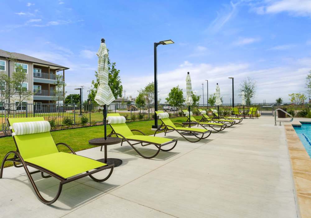 Poolside lounge chairs and umbrellas at Walnut Springs in Seguin, Texas