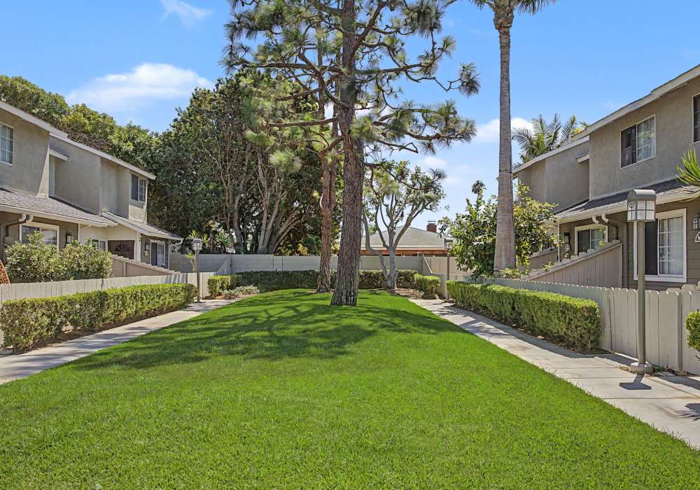 Lush landscaping at Greystone in Costa Mesa, California