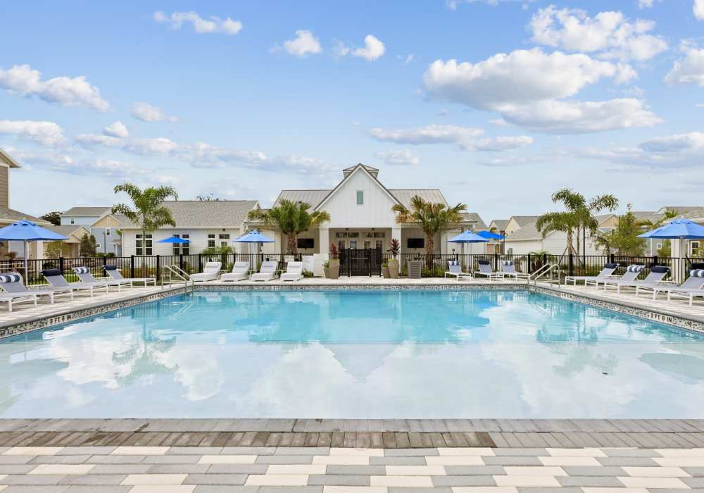 Brand new pet friendly homes for rent at Hamlet at Avalon Park in Wesley Chapel, Florida