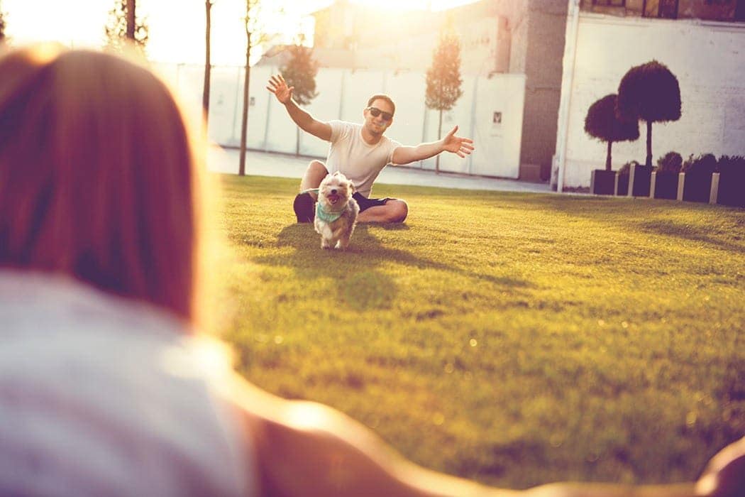 Couple from The Abbey at Spring Town Center playing with their dog on the green grass