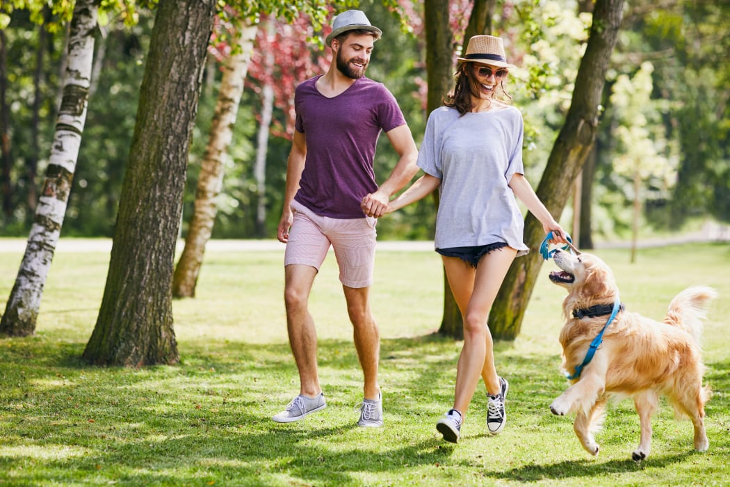 Resident couple and their dog playing on the green grass at our community at The Timbers at Long Reach Apartments in Columbia, Maryland