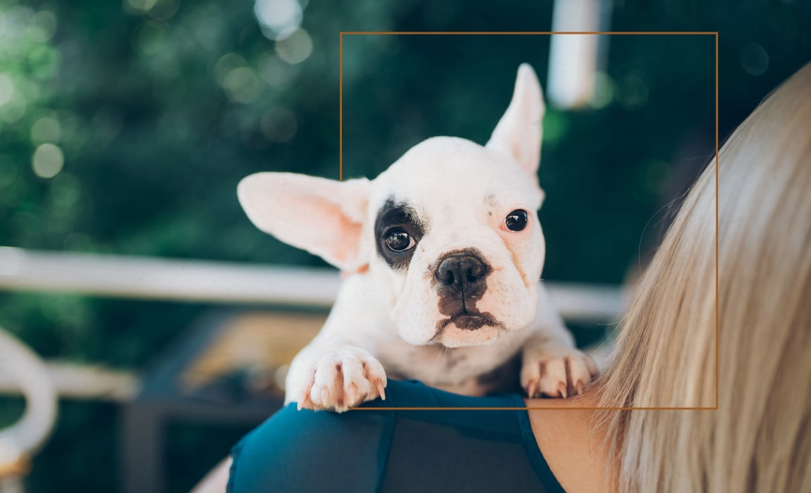 Family with dog at Alta Frisco Square in Frisco, Texas
