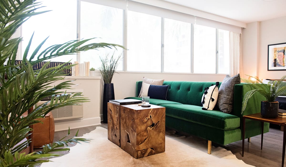 Amenities At The Wayland Apartments With Custom Cabinetry